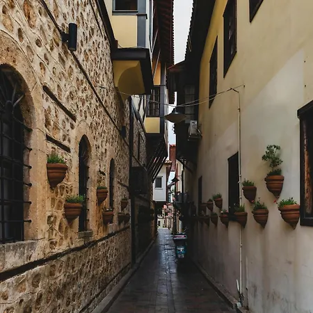 Daire Maxihomes Hadrian Falcon