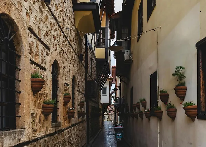 Lägenhet Maxihomes Hadrian Falcon